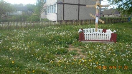 О порядке на земле